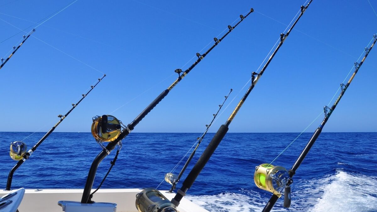 Caña de pescar pesca recreativa cañas de pescar mar, mar, Cañas de